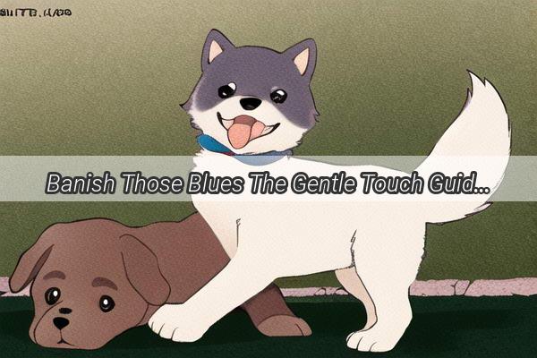 Banish Those Blues The Gentle Touch Guide to Removing Your Dogs Tear Stains